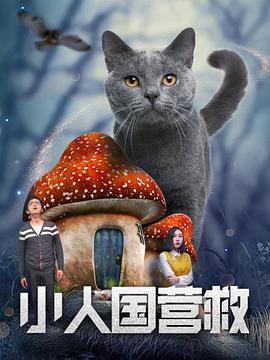 日本视频免