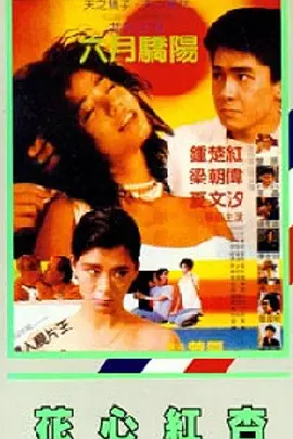 五月天综合激情网
