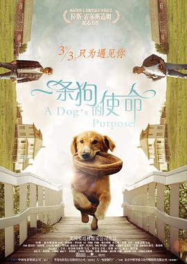 成人亚洲欧美