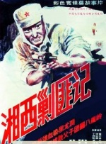 成年人在线播放