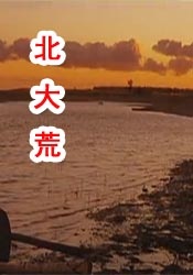 黑狐影院在线观看免费版