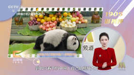免费一二区